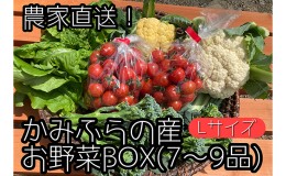 【ふるさと納税】【2024年9月中旬頃から発送】農家直送！ミニトマト500g入り！かみふらの秋の味覚ボックスL（7〜9品入り）