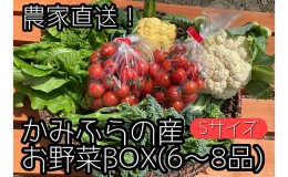 【ふるさと納税】【2024年8月上旬頃から発送】農家直送！ミニトマト500g入り！朝採れ野菜詰め合わせボックスS（6〜8品入り）