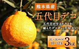 【ふるさと納税】五代目デコ 3kg (10玉〜12玉) 不知火【2024年2月下旬〜2024年6月下旬発送】