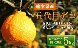 【ふるさと納税】五代目デコ 5kg (18玉〜20玉) 不知火【2024年2月下旬〜2024年6月下旬発送】