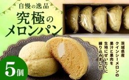 【ふるさと納税】自慢の逸品！ 究極のメロンパン ５個入×１箱 メロンパン 菓子パン パン