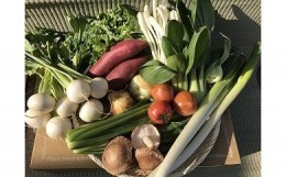 【ふるさと納税】自然栽培野菜 10〜12品目 野菜 詰合せ