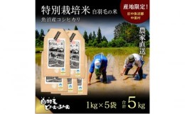 【ふるさと納税】【通年受付】≪令和5年産≫　農家直送！魚沼産コシヒカリ特別栽培「白羽毛の米」精米 (1kg×5袋) 5kg