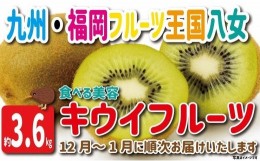 【ふるさと納税】九州・福岡フルーツ王国八女　産地直送キウイフルーツ　約３．６ｋｇ【2024年12月発送開始】＜配送不可：北海道・沖縄・