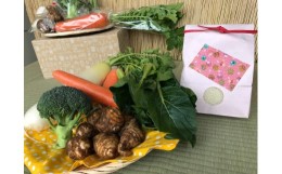 【ふるさと納税】【栽培期間農薬不使用】白米2kgと季節の野菜（4〜5品）のセット 野菜 詰合せ