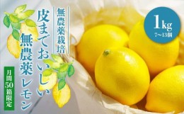 【ふるさと納税】【月間50箱限定】皮まで美味しい無農薬レモン 約1kg
