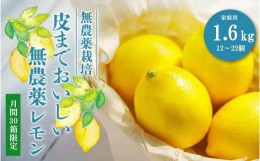 【ふるさと納税】【30箱限定】皮まで美味しい無農薬レモン　家庭用1.6kg