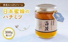 【ふるさと納税】日本蜜蜂のハチミツ（300g）