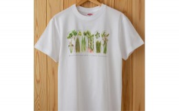 【ふるさと納税】0337世界で唯一!着る山菜!!【山菜図鑑Tシャツ・白】綿100%　Mサイズ