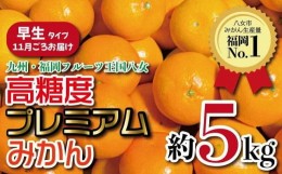 【ふるさと納税】【先行受付：2024年11月発送開始】高糖度プレミアムみかん「早生」約５ｋｇ｜＜配送不可：北海道・沖縄・離島＞