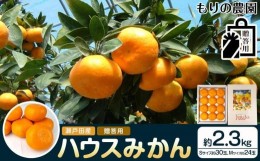 【ふるさと納税】【お中元・のし付き】瀬戸田産ハウスみかん（贈答用）約2.3キロ 化粧箱 贈り物 ギフトドルチェみかん フルーツ 柑橘 果