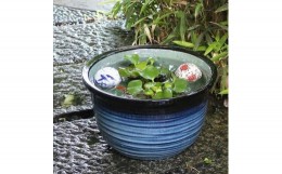 【ふるさと納税】信楽焼 10号藍の色水鉢 睡蓮鉢 メダカ鉢