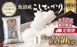 【ふるさと納税】【定期便】｜無洗米｜ 新潟県 魚沼産 コシヒカリ お米 30kg×計12回 精米済み 年間 毎月発送 こしひかり（お米の美味し