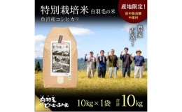 【ふるさと納税】【通年受付】≪令和5年産≫　農家直送！魚沼産コシヒカリ特別栽培「白羽毛の米」精米10kg