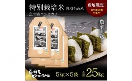 【ふるさと納税】【通年受付】≪令和5年産≫　農家直送！魚沼産コシヒカリ特別栽培「白羽毛の米」精米 (5kg×5袋) 25kg