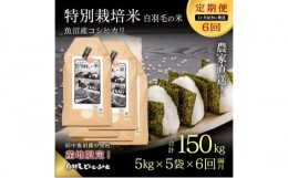 【ふるさと納税】【通年受付】≪令和5年産≫【定期便／1ヶ月おき全6回】農家直送！魚沼産コシヒカリ特別栽培「白羽毛の米」精米(5kg×5袋