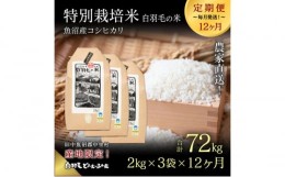 【ふるさと納税】【通年受付】≪令和5年産≫【定期便／全12回】農家直送！魚沼産コシヒカリ特別栽培「白羽毛の米」精米(2kg×3袋)×12回 