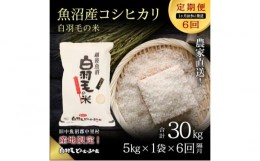 【ふるさと納税】【通年受付】≪令和5年産≫【定期便／1ヶ月おき全6回】農家直送！魚沼産コシヒカリ「白羽毛の米」精米(5kg×1袋)×6回 3