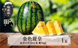 【ふるさと納税】先行予約 金色羅皇 こんじきらおう 尾花沢産スイカ 2Lサイズ 約7kg×1玉 8月上旬〜8月中旬頃発送 令和6年産 2024年産 観