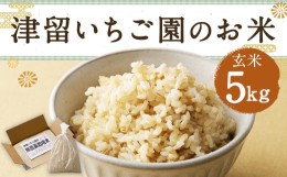 【ふるさと納税】【2023年11月上旬発送開始】津留いちご園のお米 玄米 農薬・化学肥料不使用（栽培期間中） 5kg ヒノヒカリ