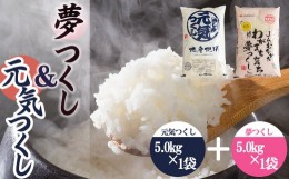 【ふるさと納税】果物屋さんが選んだ米食べ比べ「夢つくし&元気つくし」5kg×2袋 4A27