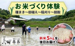 【ふるさと納税】お米づくり 体験チケット 糸島市 / 天然パン工房楽楽【いとしまごころ】 [AVC065] 体験型 農業 食育