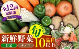 【ふるさと納税】【12回定期便】野菜定期便 キノコをセット「12回（毎月）」お届け 10品目以上 詰め合わせ 12回  / 定期便 野菜 やさい 