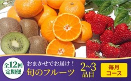 【ふるさと納税】【12回定期便】フルーツ定期便 旬の果物をお任せで2〜3品目お届け（2〜3品目×12回）季節の果物 詰め合わせ 果物 セット