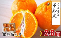 【ふるさと納税】【 贈答用 ・ 化粧箱 】 不知火 約2.8kg （ 6玉程度 ） | フルーツ 果物 くだもの 柑橘 ミカン みかん しらぬい ギフト 