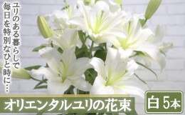 【ふるさと納税】【産直】オリエンタルユリの花束【白5本】　【11218-0532】