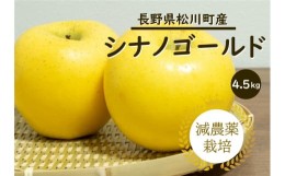 【ふるさと納税】YN16-24A りんご シナノゴールド 約5kg 減農薬栽培 秀品／10月下旬頃から配送予定