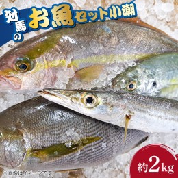 【ふるさと納税】【ふるさと納税】対馬 のお 魚 （小潮） 2kg 《対馬市》【ゆうなぎ対馬】 鮮魚 新鮮 海鮮 イカ サザエ アジ クエ ヒラマ