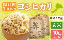 【ふるさと納税】[e30-a052] コシヒカリ 10kg 令和5年 福井県産【玄米】【お米 こしひかり 10キロ 人気品種】