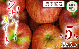 【ふるさと納税】りんご シナノスイート 訳あり 5kg 令和6年度収穫分 沖縄県への配送不可 2024年10月中旬頃から2024年11月上旬頃まで順次