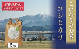 【ふるさと納税】北本農場こだわりのお米令和5年度産コシヒカリ精米5kg有機肥料（海由来のミネラル）で育てたお米