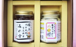 【ふるさと納税】竹田市産 100%！ 菊芋パウダー 80g×1本 ＋ はちみつ 180g×1本  セット 化粧箱