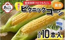 【ふるさと納税】【先行予約】朝採り ピクニックコーン 黄色 10本入《生でも食べれる！希少品》 ／ 野菜 とうもろこし スイートコーン ※