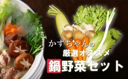 【ふるさと納税】CC005_【鍋約2回分】かずちゃんの厳選おススメ鍋野菜セット 野菜詰め合わせ 旬 新鮮 国産 水炊き 採れたて