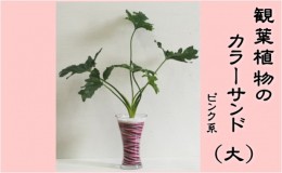 【ふるさと納税】カラーサンド（ガラス花器：大）ピンク系