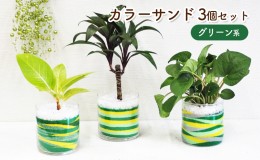 【ふるさと納税】カラーサンド 3個 セット グリーン系 植物 インテリア ガーデン