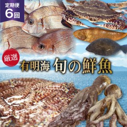 【ふるさと納税】BG065【定期便】有明海 旬の鮮魚 漁協おすすめ 海の幸定期便 計6回