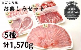 【ふるさと納税】まごころ豚　お楽しみセット（茨城県共通返礼品・鉾田市産）