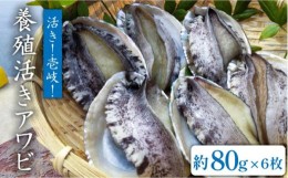 【ふるさと納税】国産養殖アワビ 活き！壱岐！アワビ（約480g） 約80g×6枚 [JDQ002] あわび 鮑 BBQ 17000 17000円 