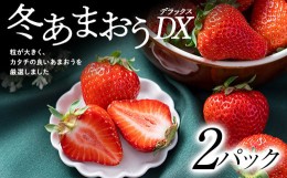 【ふるさと納税】 フルーツソムリエが選んだ＜冬＞ あまおうDX ( デラックス ) 2パック _ あまおう いちご 苺 イチゴ ギフト プレゼント 