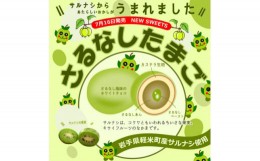 【ふるさと納税】＜軽米町産サルナシを使ったお菓子＞さるなしたまご9個入×1箱【1351601】