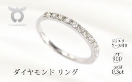 【ふるさと納税】【サイズ：9.5号】0.3CT　ダイヤモンド リング R3707DI-P