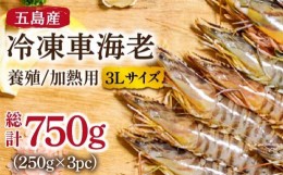 【ふるさと納税】【訳あり】五島産冷凍車海老(3Lサイズ/加熱用)250g×3pc えび エビ 五島市/拓水五島事業場 [PCU008]