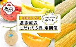 【ふるさと納税】【先行予約】≪定期便/全3回≫フルーツ王国あわらのこだわり5品 農家直送 厳選品／ 期間限定 果物 フルーツ 青肉メロン 