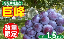 【ふるさと納税】2024年8月15日迄受付 巨峰 ぶどう 4〜5房 約1.5kg 朝倉産 オンライン決済限定