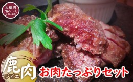 【ふるさと納税】ジビエ　お肉たっぷりセット　福袋 カタ スジ モモ スペアリブ しゃぶしゃぶ 鹿肉